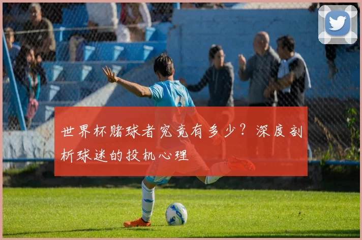 世界杯赌球者究竟有多少?深度剖析球迷的投机心理