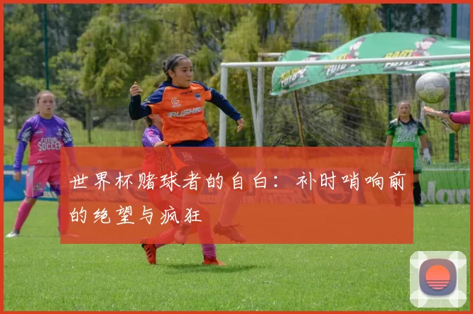世界杯赌球者的自白：补时哨响前的绝望与疯狂