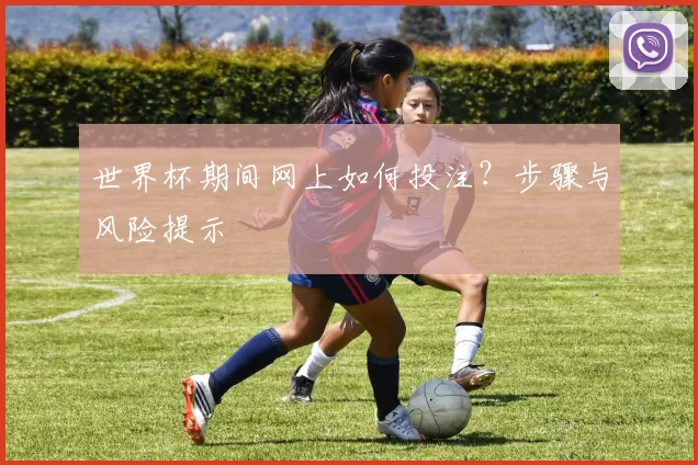 世界杯期间网上如何投注？步骤与风险提示
