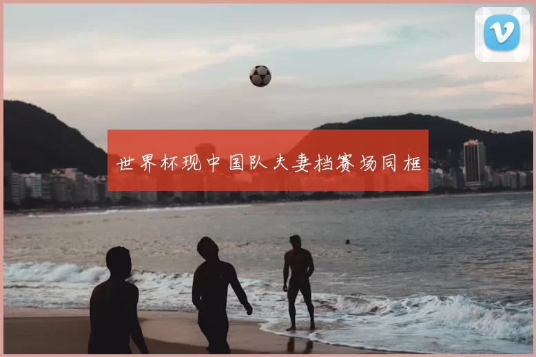 世界杯现中国队夫妻档赛场同框