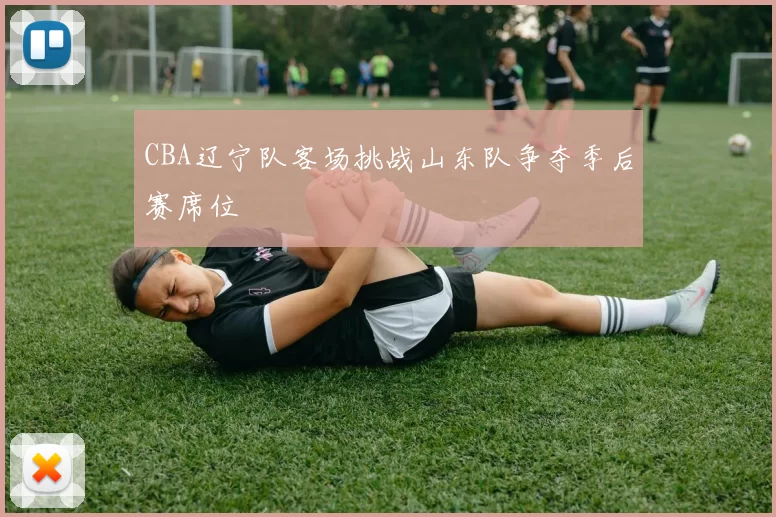 CBA辽宁队客场挑战山东队争夺季后赛席位