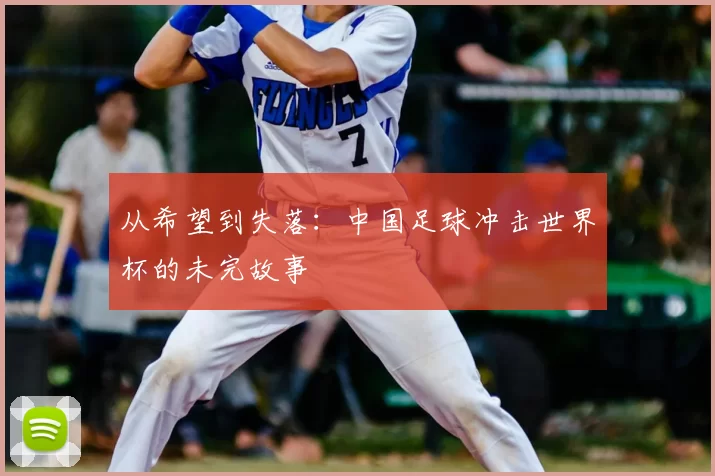 从希望到失落:中国足球冲击世界杯的未完故事