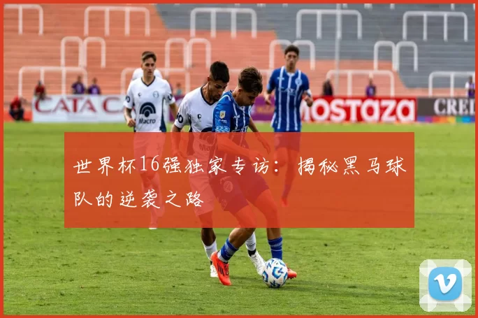 世界杯16强独家专访:揭秘黑马球队的逆袭之路