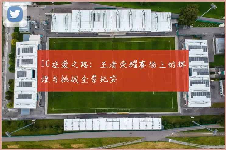 IG逆袭之路：王者荣耀赛场上的辉煌与挑战全景纪实